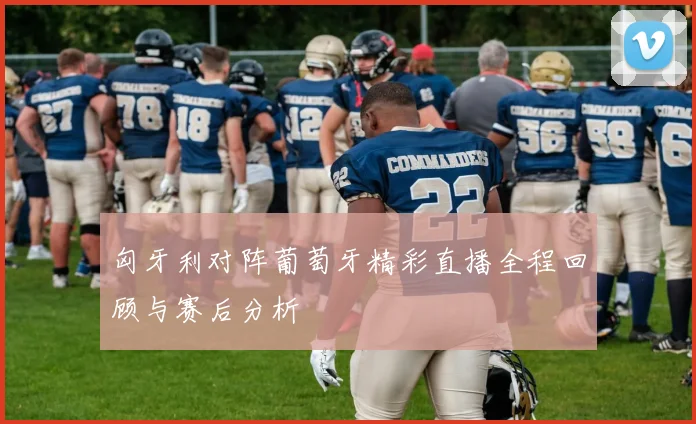 匈牙利对阵葡萄牙精彩直播全程回顾与赛后分析